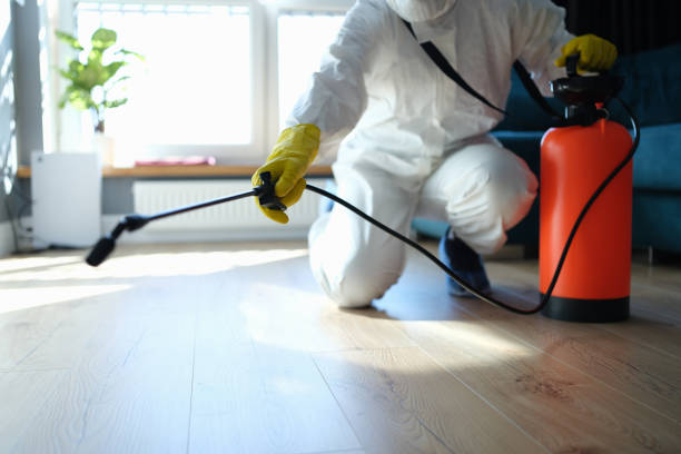 Reliable Sewage Cleanup contractor in Richmond, MI by Trauma Clean Pros
